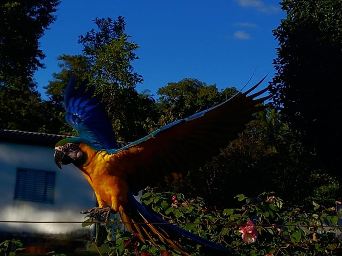 Casa Rosa 賓館 Alto Paraíso de Goiás