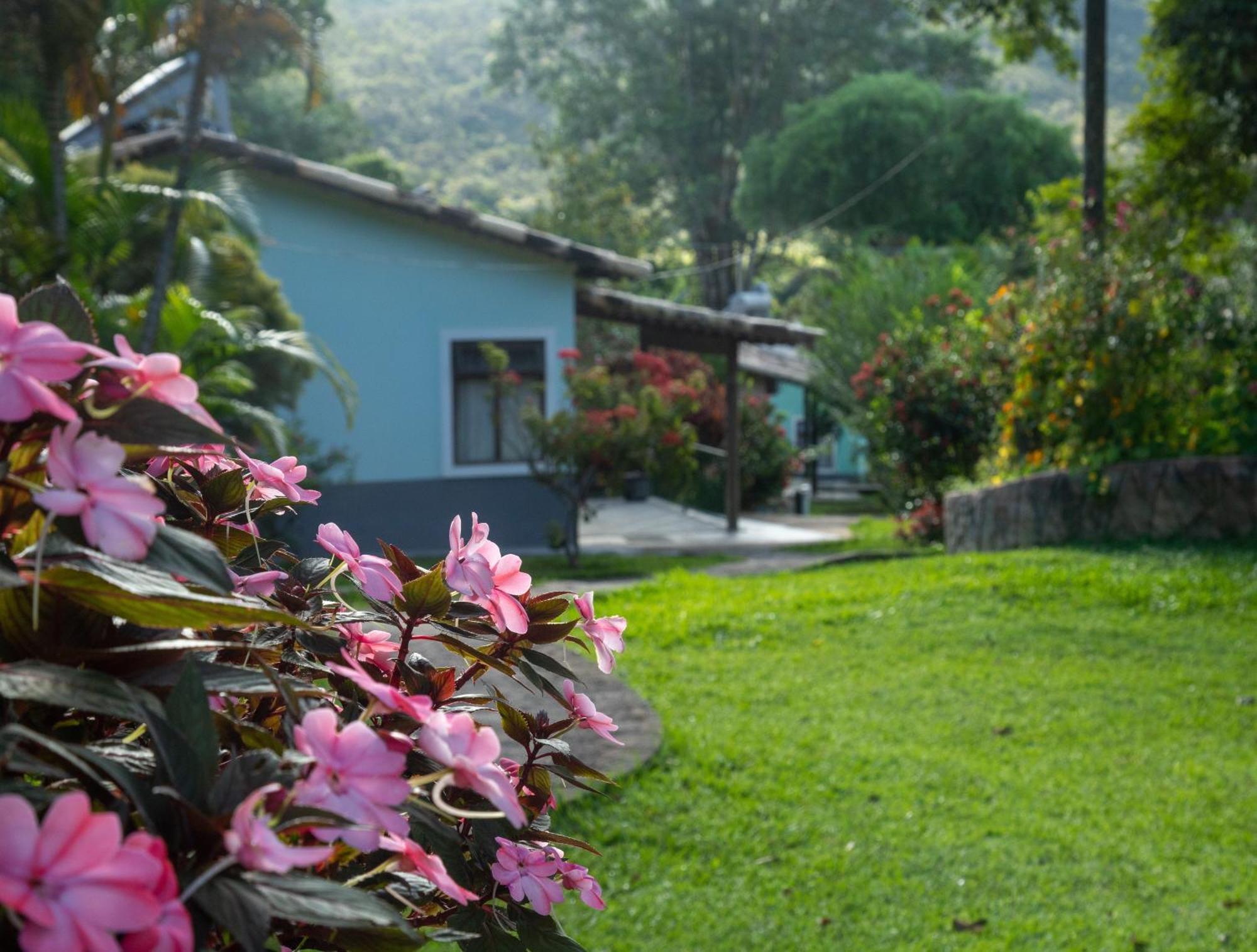 Casa Rosa 3*